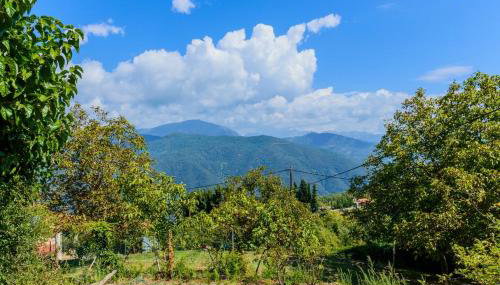 Σπίτι στο Τείχιο με θέα Βαρδούσια και Γκιώνα - Foto 1