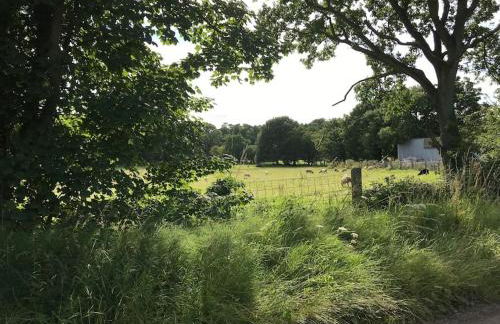Betty's Cottage - Traditional Norfolk Farm Cottage - Foto 24