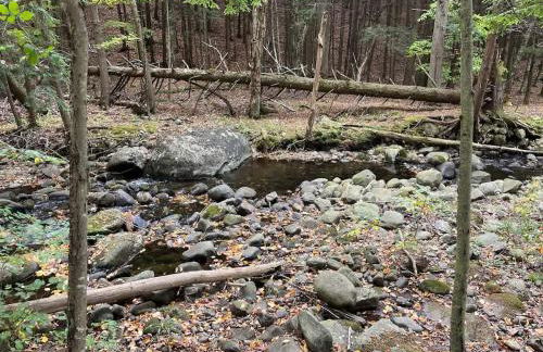 Twin pines 3 - Foto 26