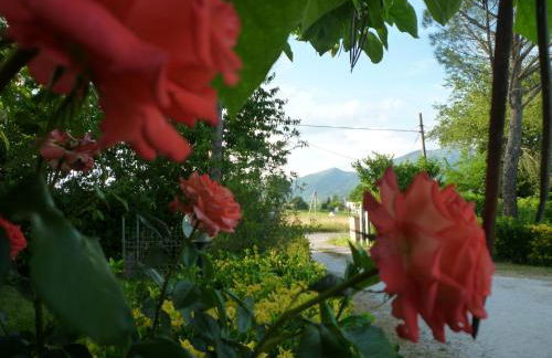 Tadinum Romana - Foto 77