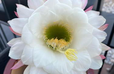 Mountainside Retreat - Foto 27