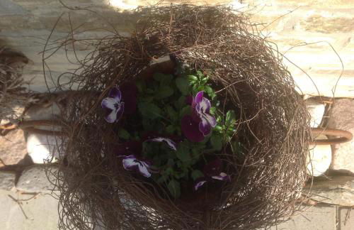 Haus Friedrichsen - Photo 36