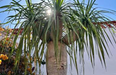 Casa Drago - Photo 16