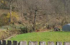 Waldquelle Vital Ferienwohnung - Foto 31