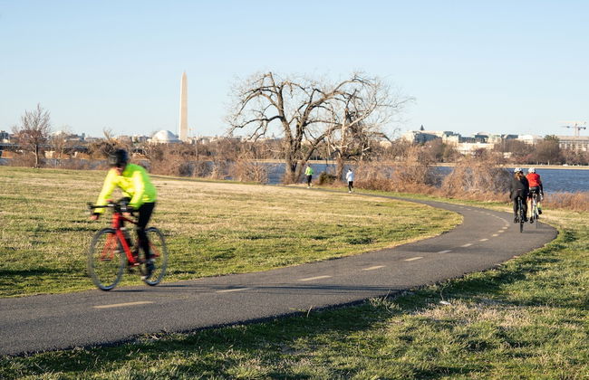 Kasa Alexandria Washington - Foto 37