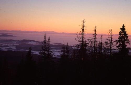 Apartment Wildfeuer by Interhome - Foto 7