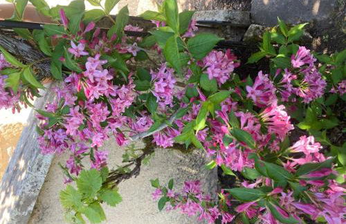 Holiday Home Castelnaud in Sainte-Mondane by Interhome - Foto 33