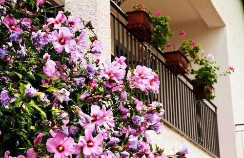 Isola Bella - Foto 37