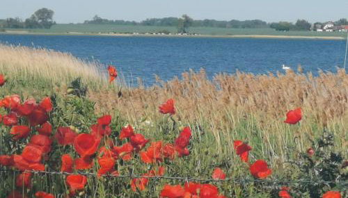 Gemütliche Ferienwohnung unterm Reetdach - Foto 2