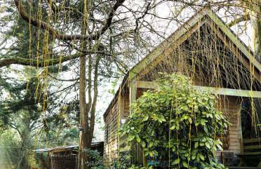 The Beech Hut, Wood Fired Hot Tub, St Kew Escapes - Foto 1