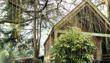 The Beech Hut, Wood Fired Hot Tub, St Kew Escapes - Foto 1