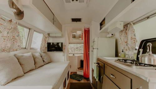 Streamside ShinyTiny Airstream in the Smokies - Foto 3