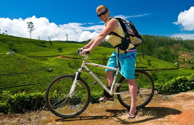 Villa Mount Royal - Photo 27