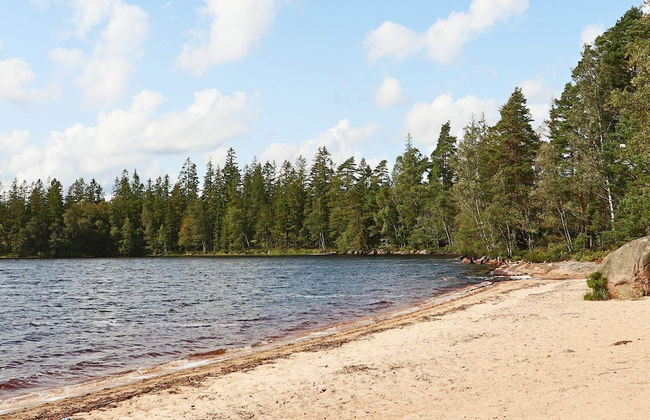 4 Person Holiday Home in Unnaryd-by Traum - Foto 18