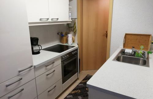 Haus Königstein FeWo Bielablick - Foto 6