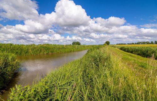 Lüttje Scholle - Photo 23