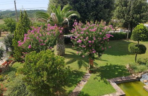 Il Podere di Sole - Foto 68