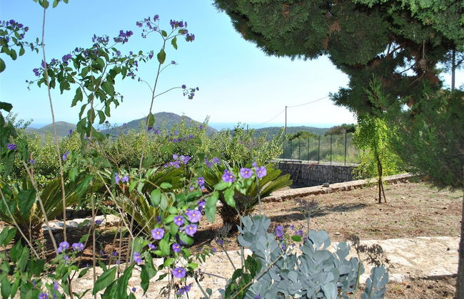 Holiday Resorts for 4 Persons - Foto 19