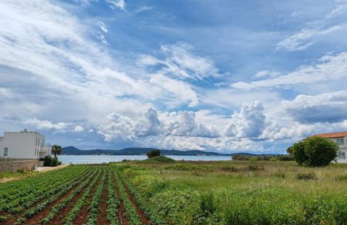 Seaside Serenity "Rosé" with pool, 150m from sea - Foto 10