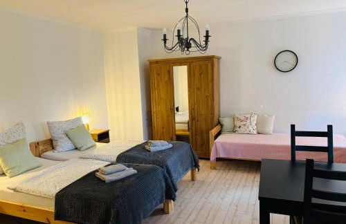 Alter Gutshof Kromlau Direkt am Schloss und Rhododendronpark, Terasse und Parkplatz - Foto 9