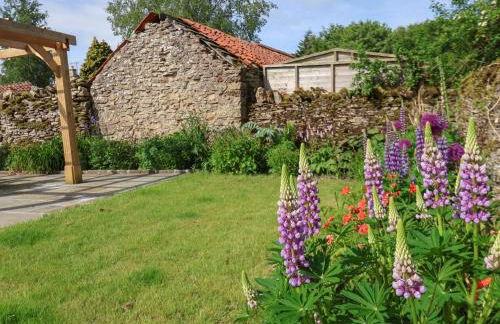 Bute Cottage - Photo 55