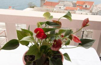 Villa Antonio - Foto 14