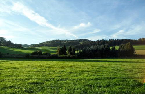 Zum Windfeld - Foto 1