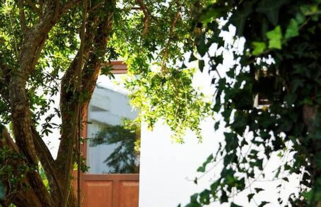 Giannakis Filoxenia - Foto 30