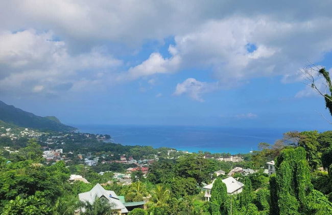 Wild Vanilla Apartment - Photo 60