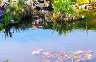 Ferienwohnung Pasch-Wittke - Foto 26