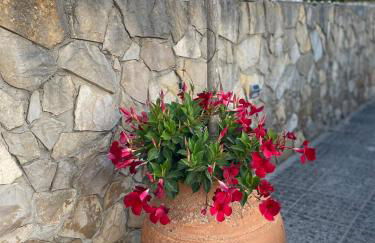 Casa do Portão Azul - Dourada - Foto 28