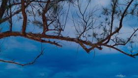 Casa acomodação em Araruama - Foto 2