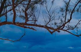 Casa acomodação em Araruama - Foto 2