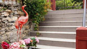 La Lucciola privacy giardino wifi - Foto 4