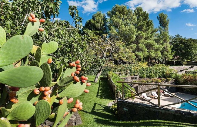 Montefiore - Photo 20