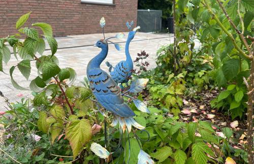 Unter den Wolken - Foto 67