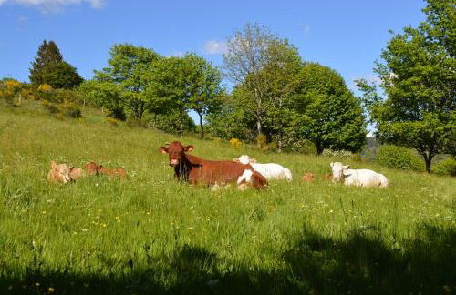 viaux-fontaine - Foto 26
