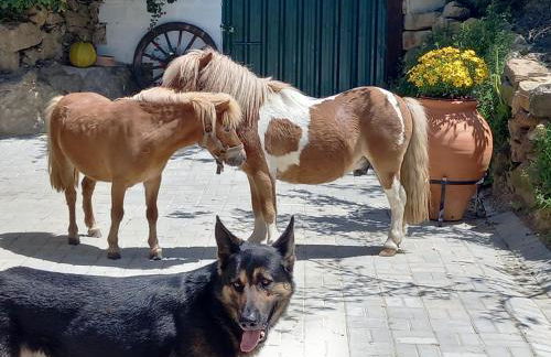 Casinha da Lareira - Quintinha dos Cavalos- Arruda dos Vinhos - Foto 34