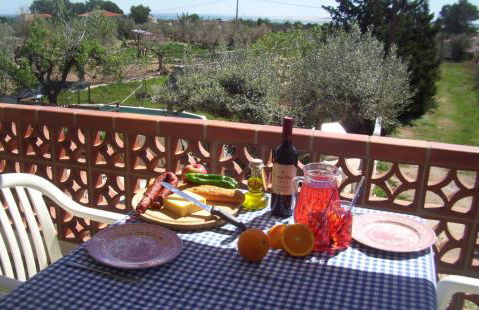 Finca Gamundi - Foto 15