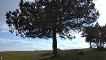 Casa Rural del Médico - Foto 3