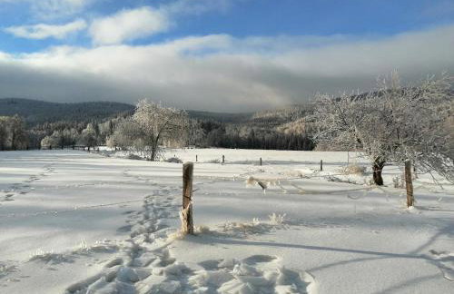 Domek w Górach Sowich - Foto 21