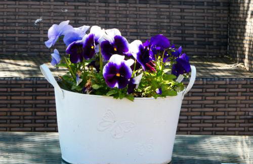 Fern Villa - Foto 29