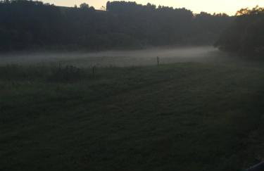 Bieszczadzka Sielanka - Foto 29