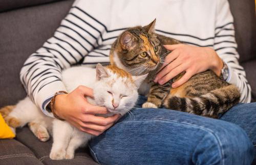 Agroturystyka Świętego Józefa - Foto 51