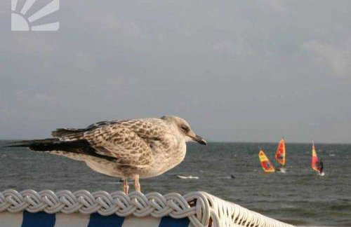 Am Kliff 9, Goting - Foto 14