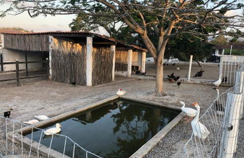 Condominio Villa Hipica - FLAT 301-Gravatá , PE Disponível SEMANA SANTA com Programação ESPECIAL! - Foto 60