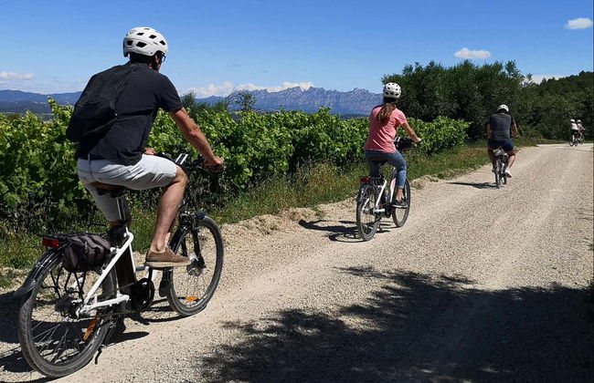 Penedes Vineyards Bike Tour - Photo 6