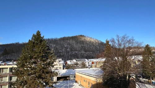 Fewo Scholbenblick - Photo 4