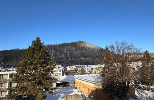 Fewo Scholbenblick - Photo 4