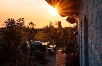Rickmer's Hoff Reetdachhaus mit Sauna und Kamin - Foto 34